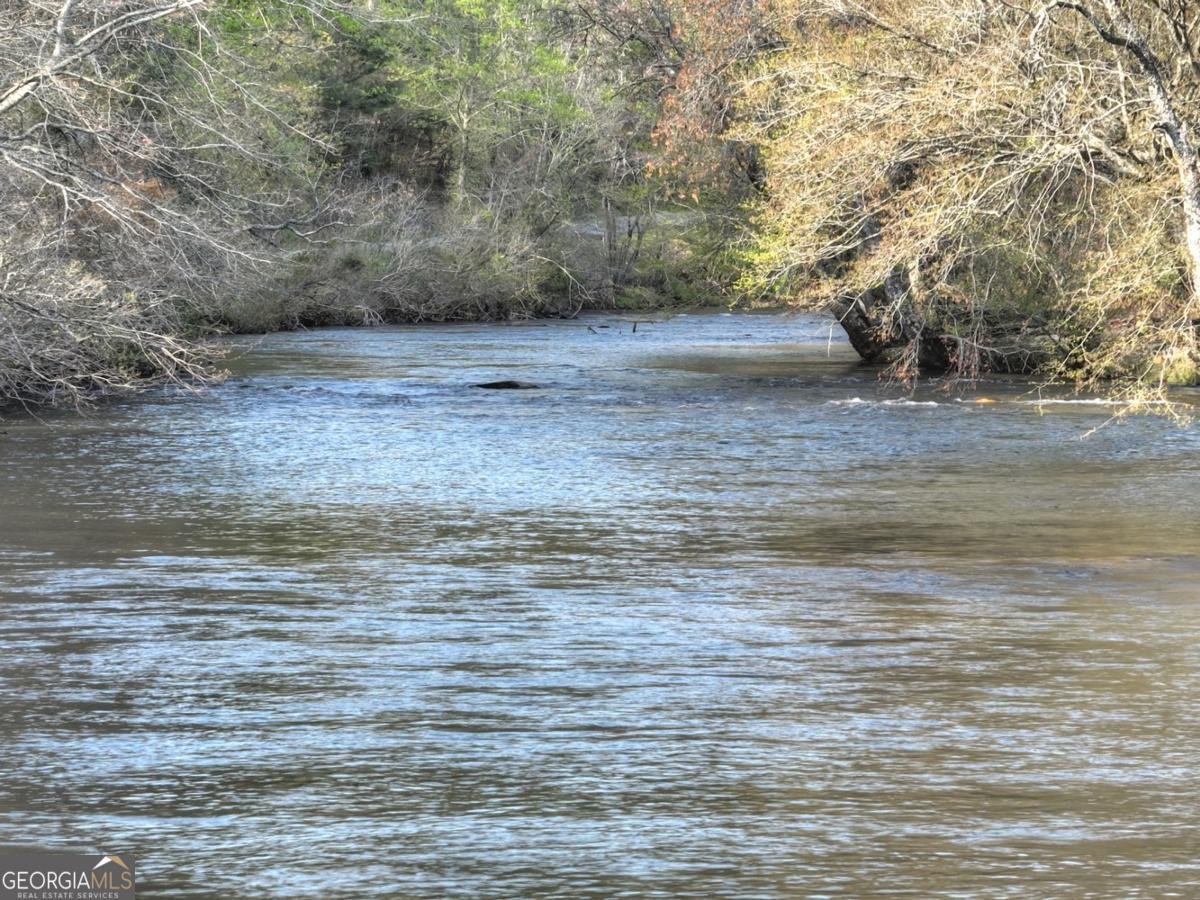 47 Downy Road Blue Ridge - 2