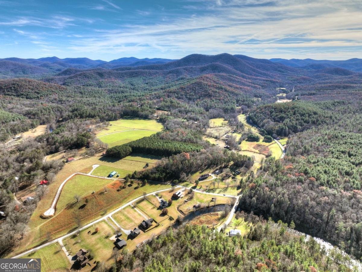 47 Downy Road Blue Ridge - 22