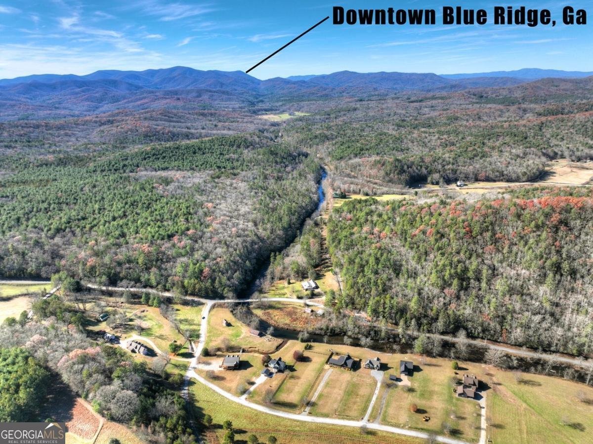 47 Downy Road Blue Ridge - 28