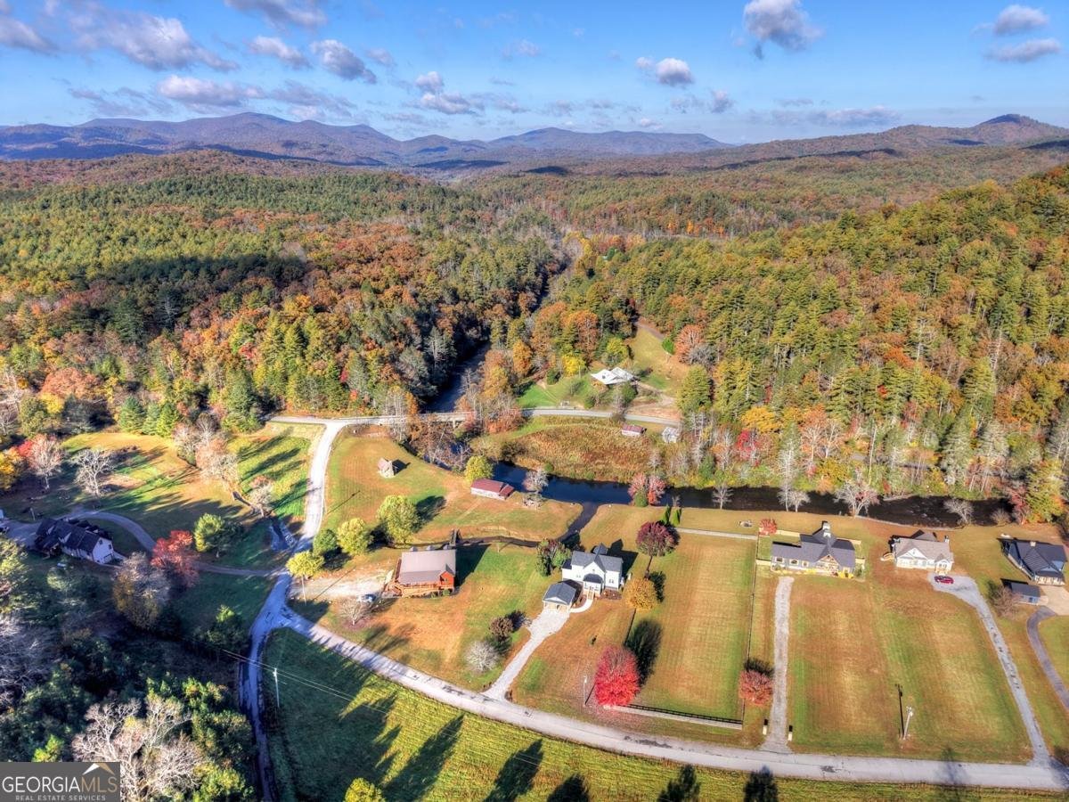 47 Downy Road Blue Ridge - 30