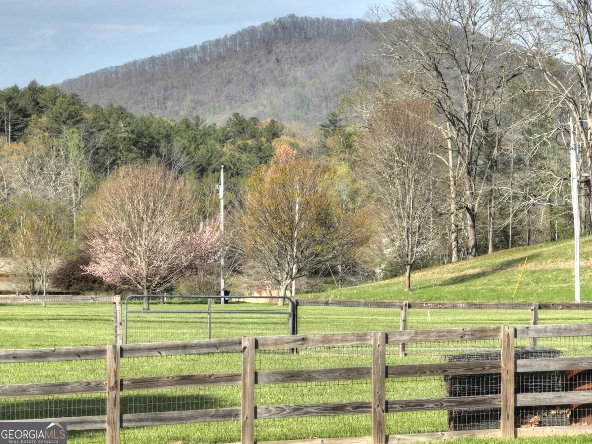 47 Downy Road Blue Ridge - 44