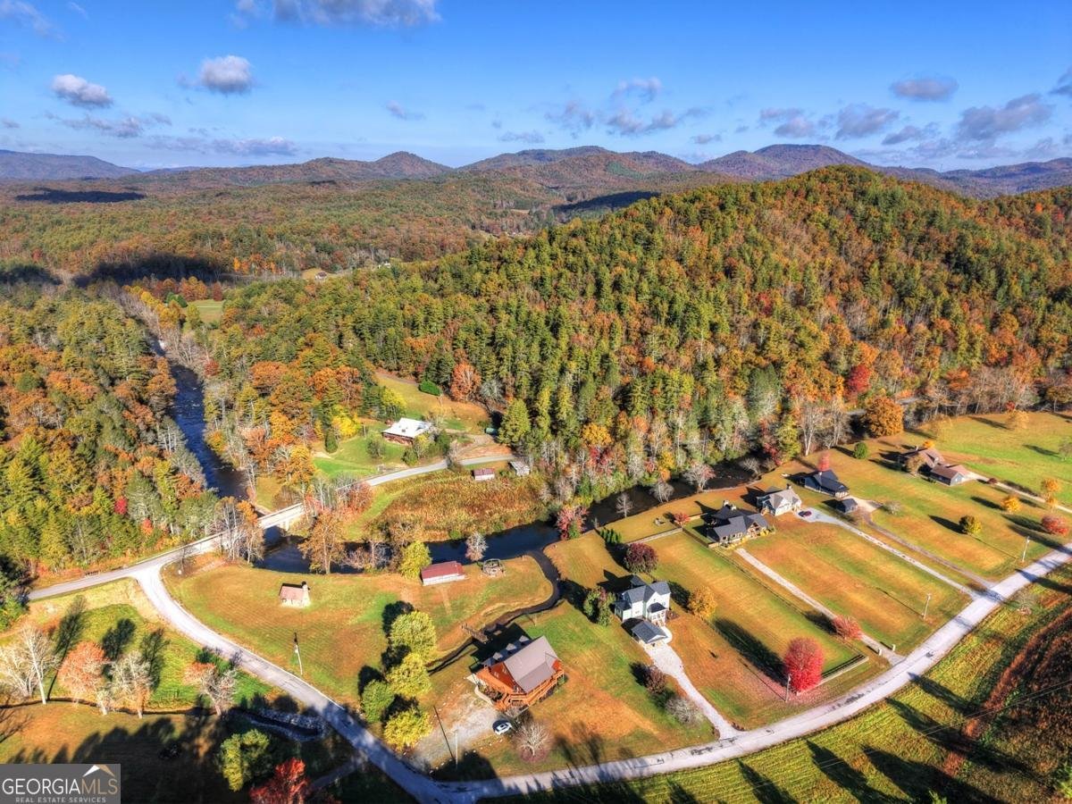 47 Downy Road Blue Ridge - 8