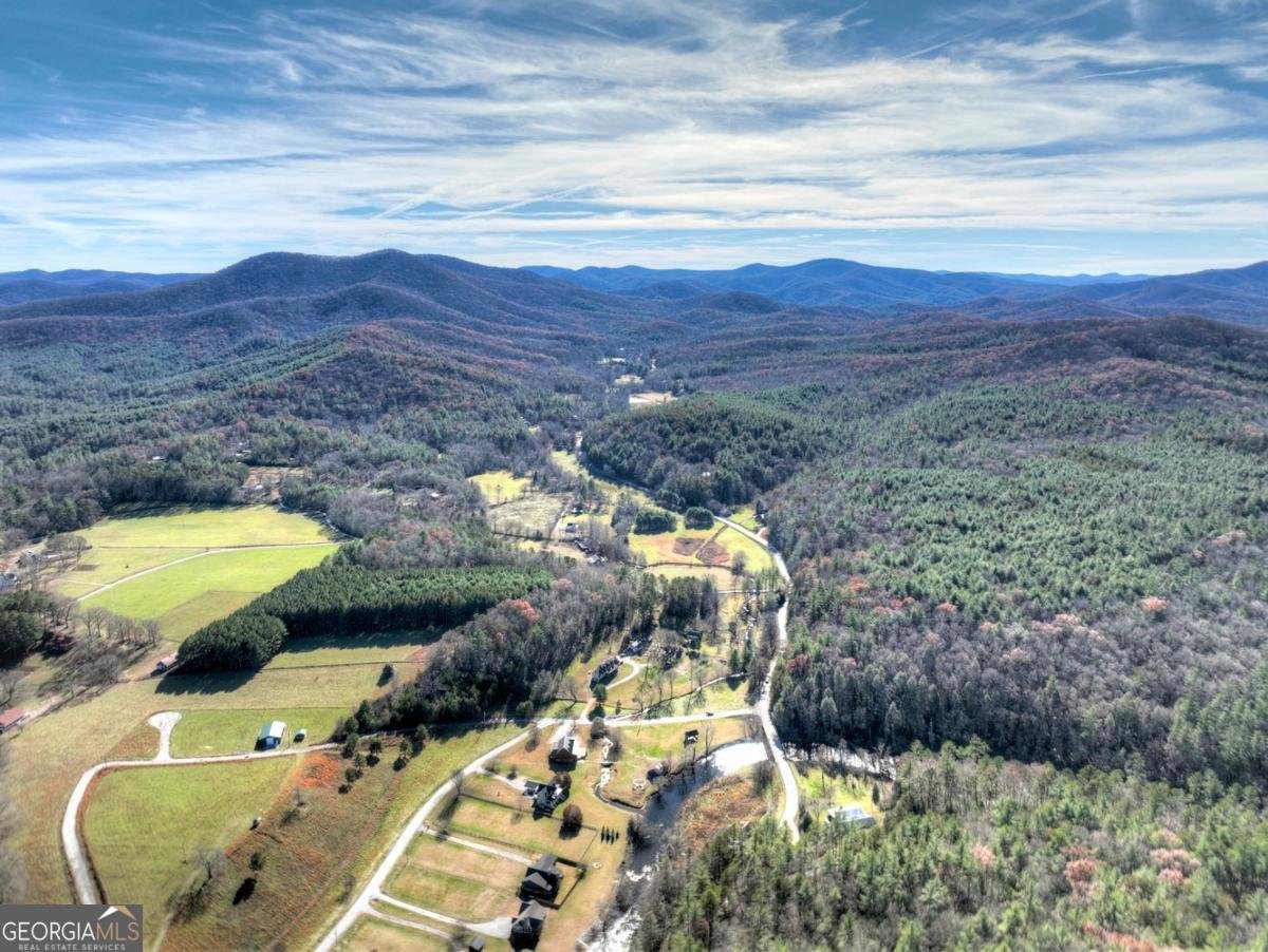 47 Downy Road Blue Ridge - 9