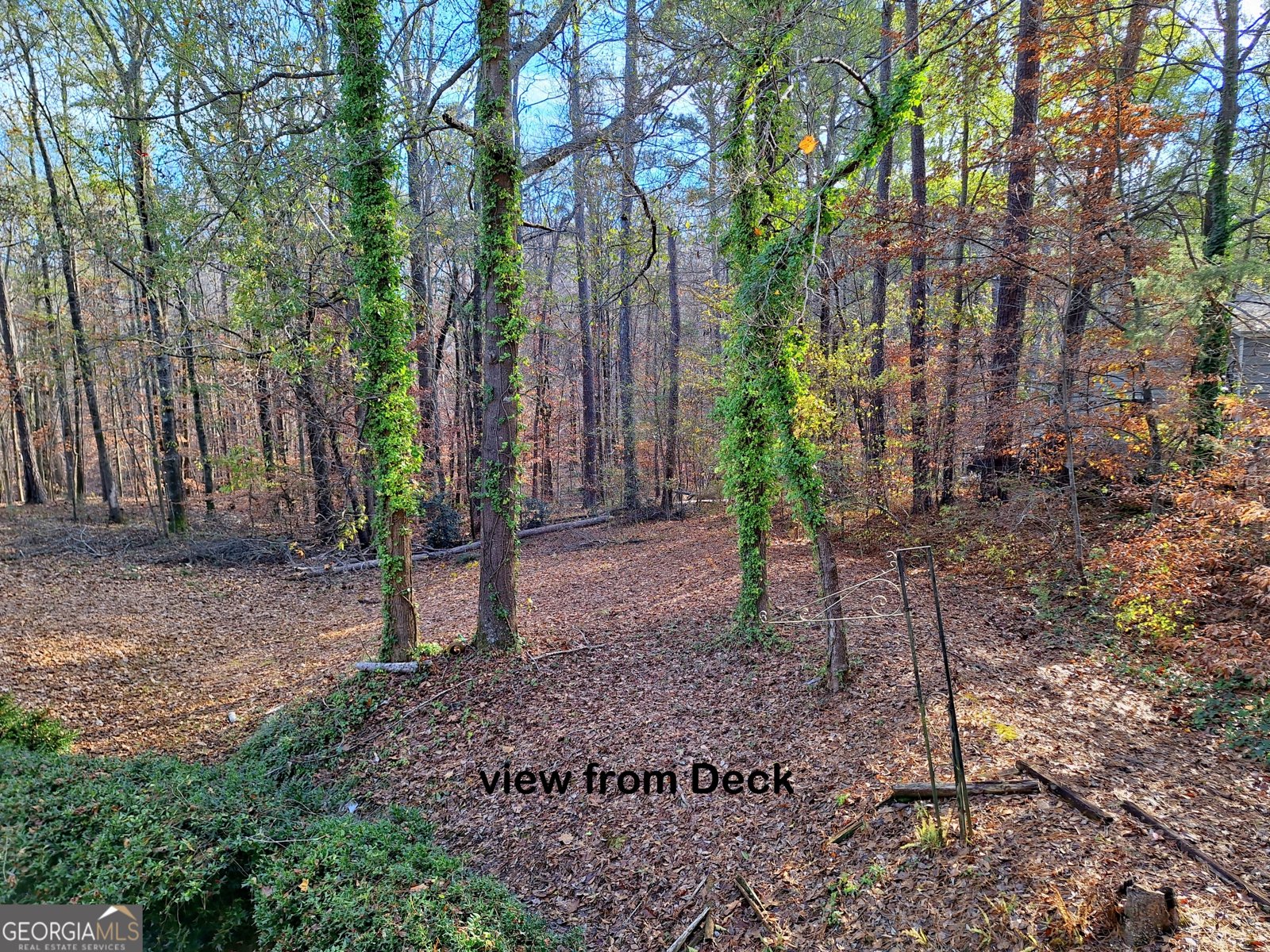 125 Chardonnay Oaks Drive McDonough - 20