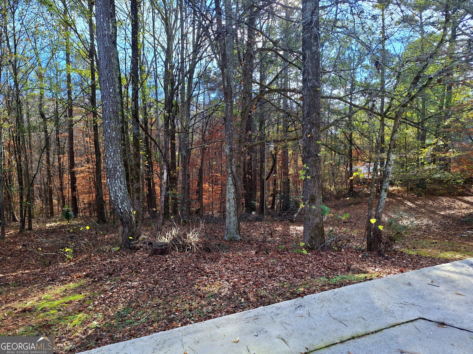 125 Chardonnay Oaks Drive McDonough - 6