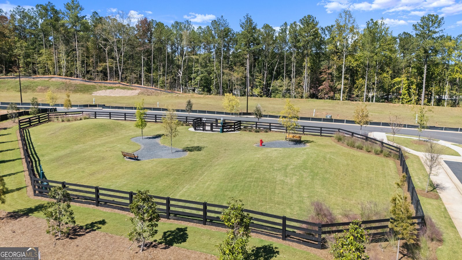 3915 Alba Street Kennesaw - 43