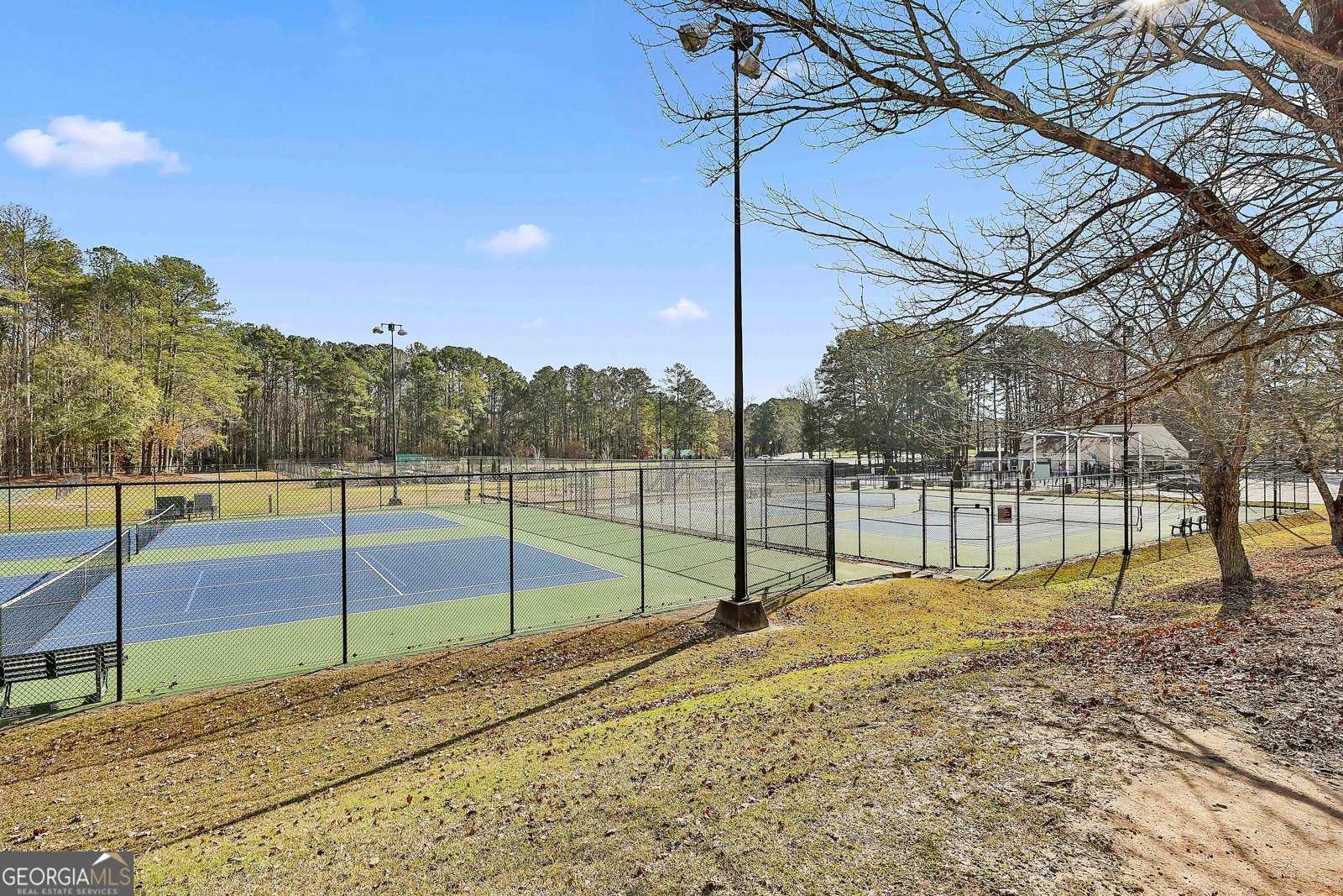 105 Hamilton Drive Peachtree City - 24