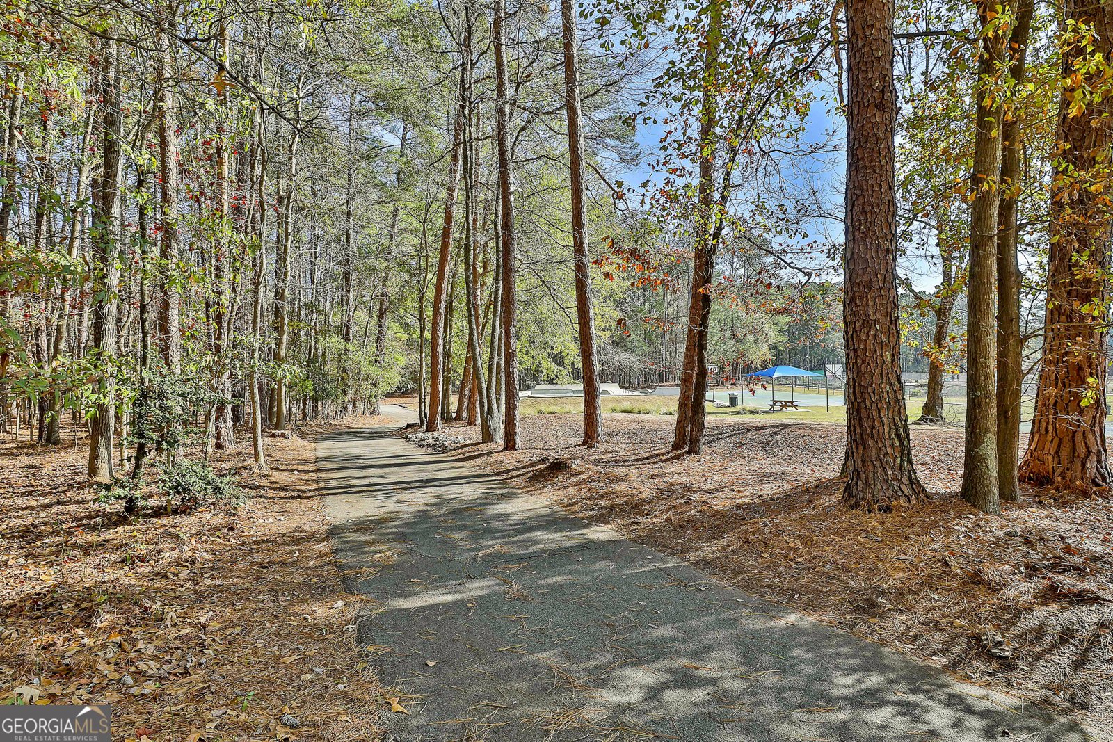 105 Hamilton Drive Peachtree City - 25