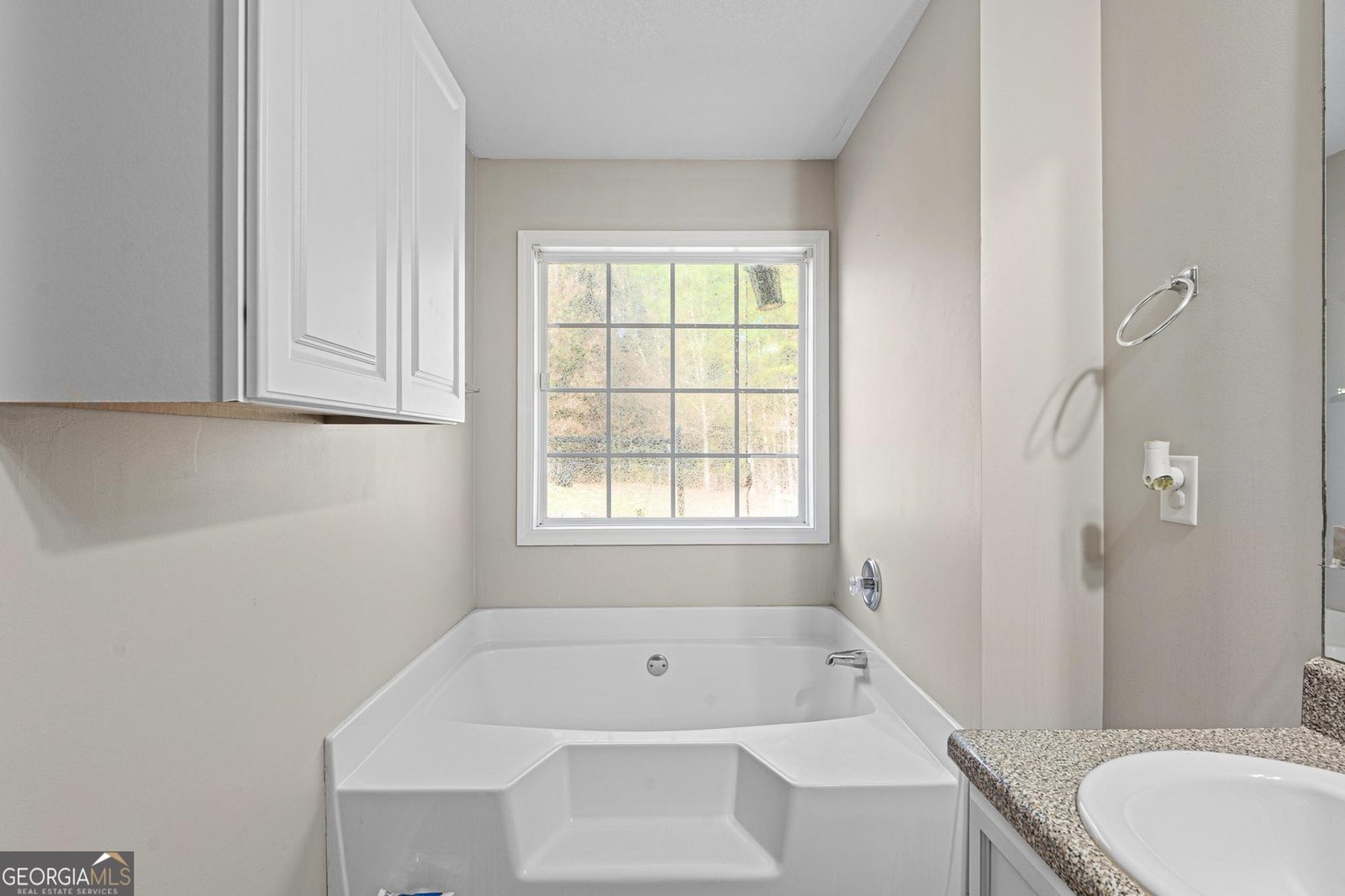 2647 Teamon Road Griffin - 13