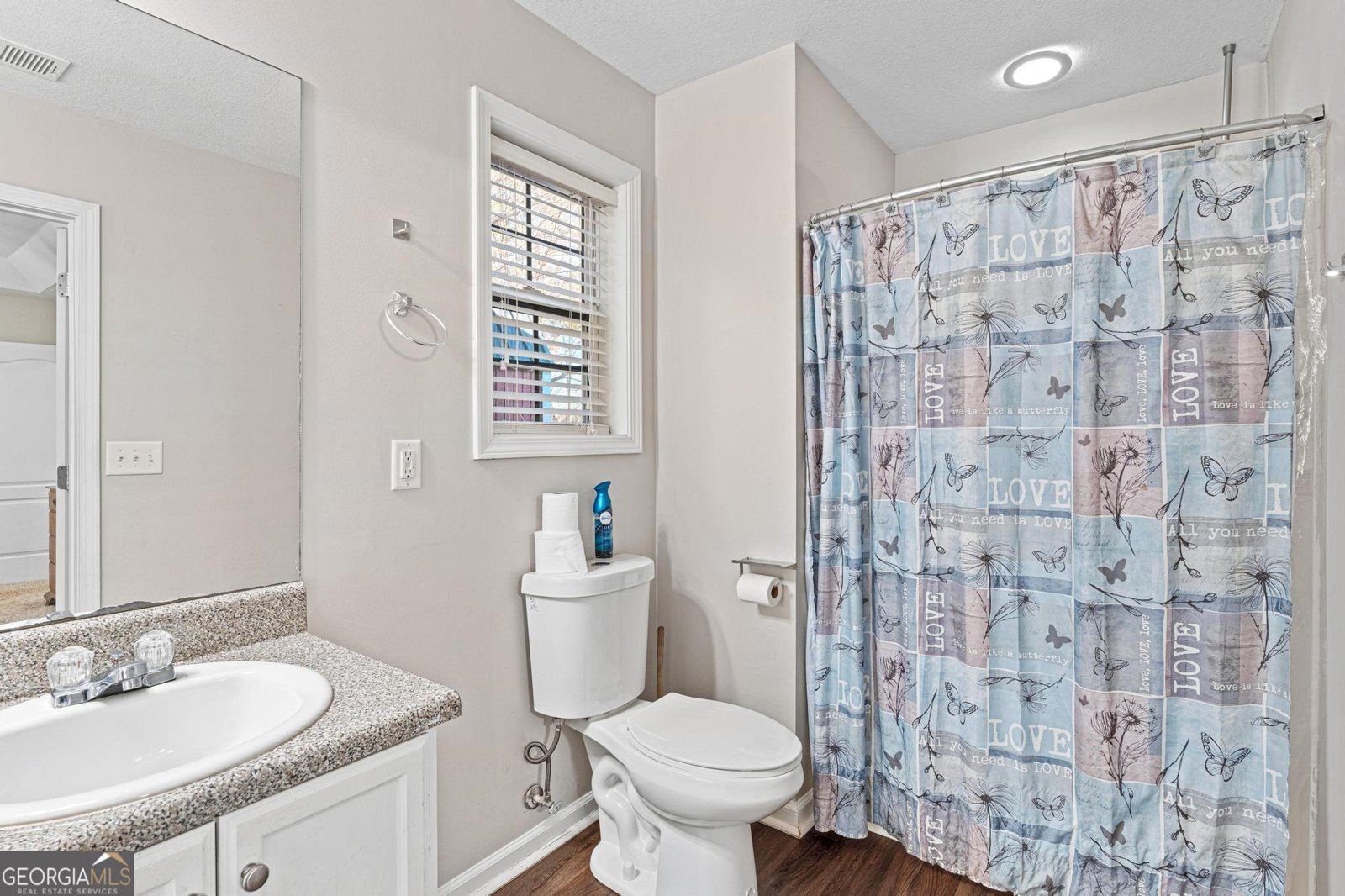 2647 Teamon Road Griffin - 14