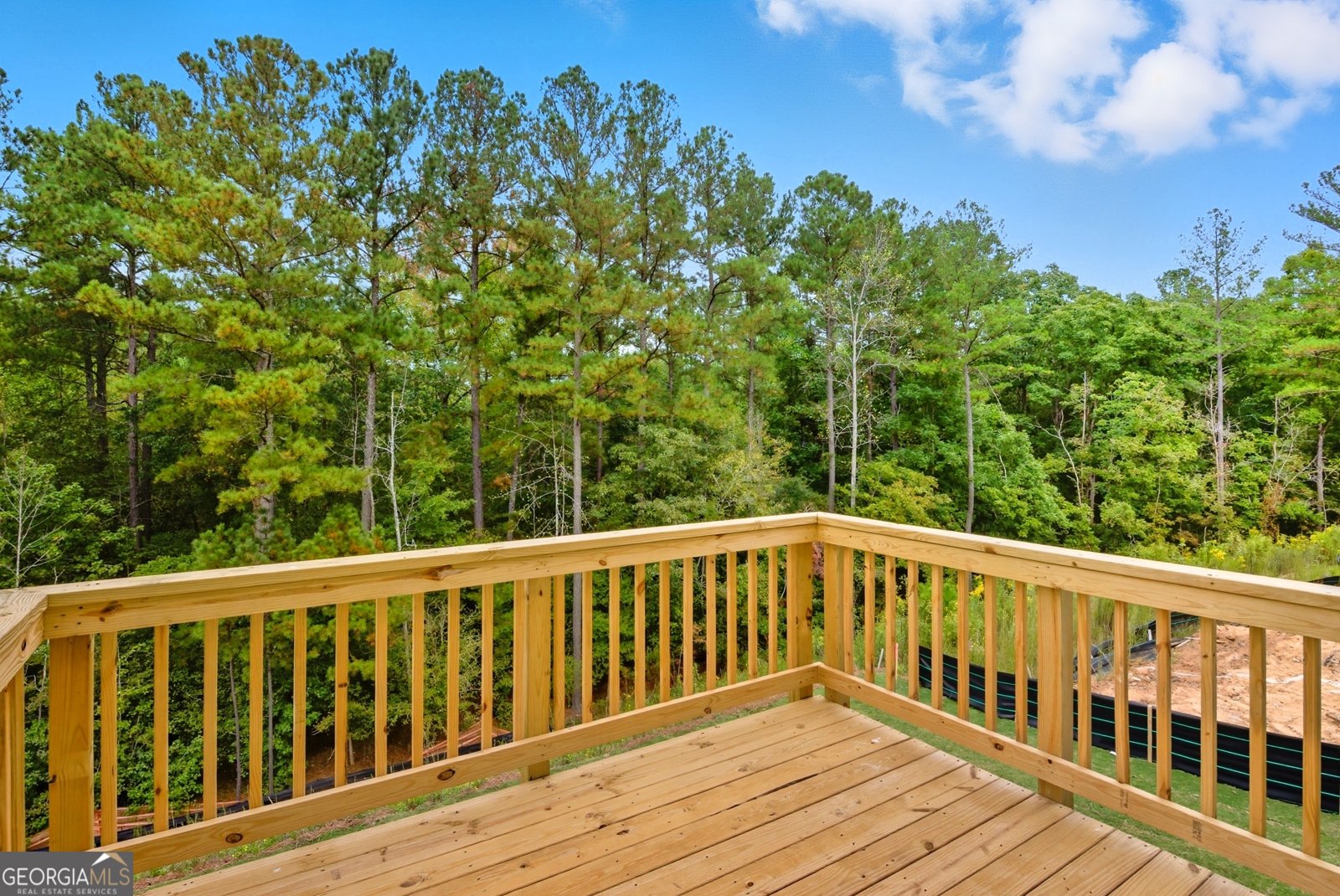 680 River Run Drive Dallas - 20