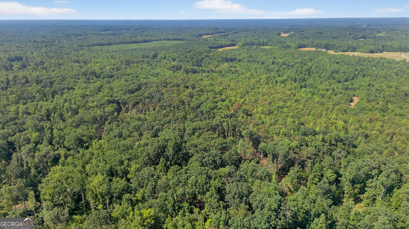 299 Scott Lane Pelzer - 28