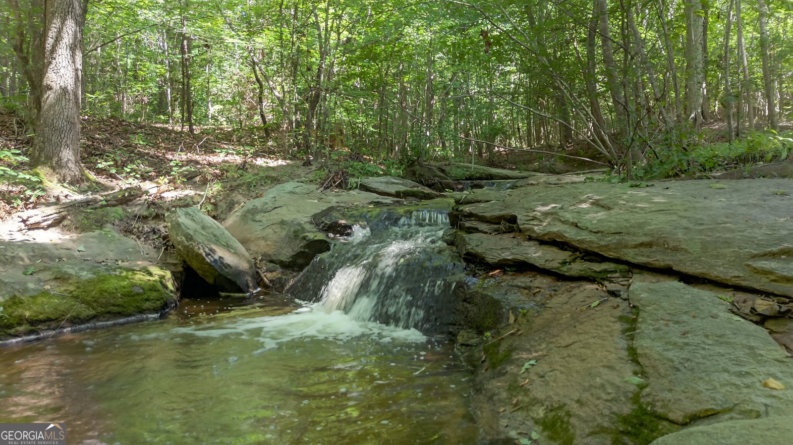 299 Scott Lane Pelzer - 29