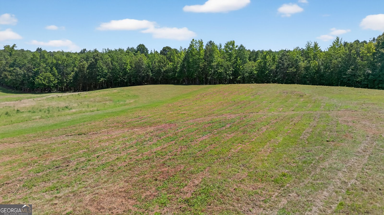 299 Scott Lane Pelzer - 37