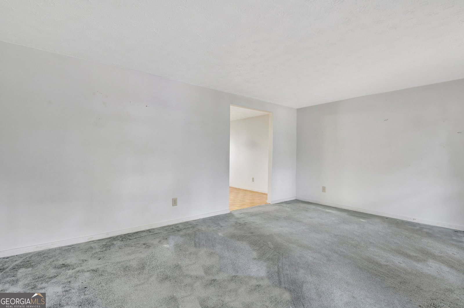 117 Hickory Drive Peachtree City - 10