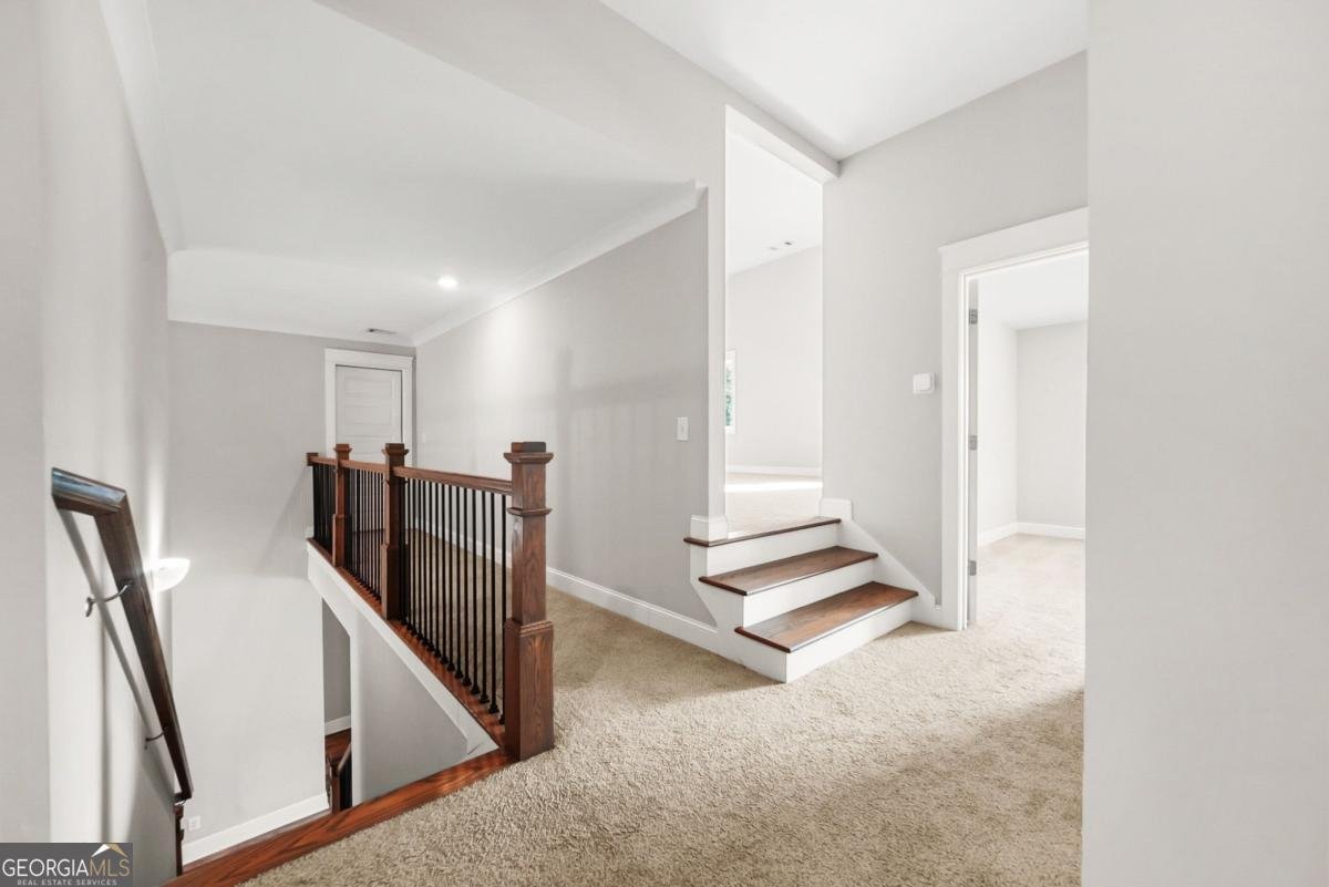 2519 Hog Liver Road Carrollton - 13