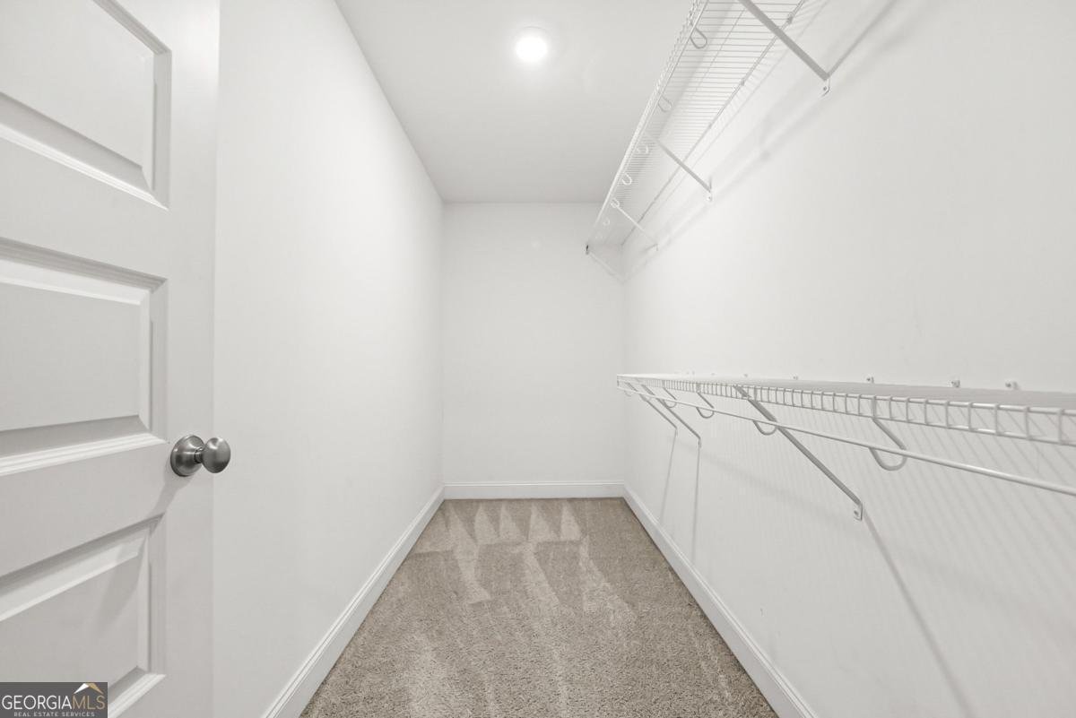 2519 Hog Liver Road Carrollton - 23