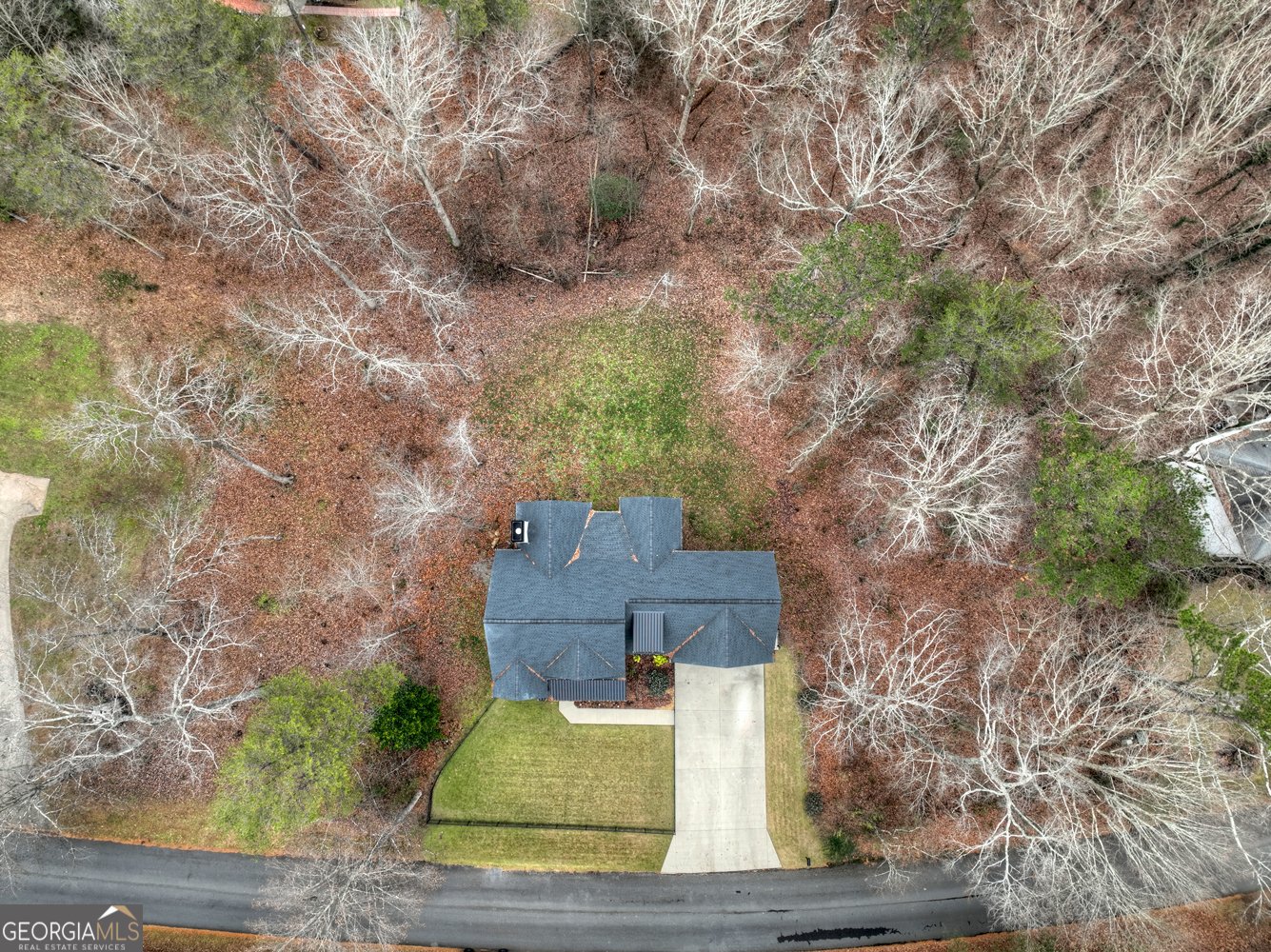 61 Westwoods Drive Ellijay - 49