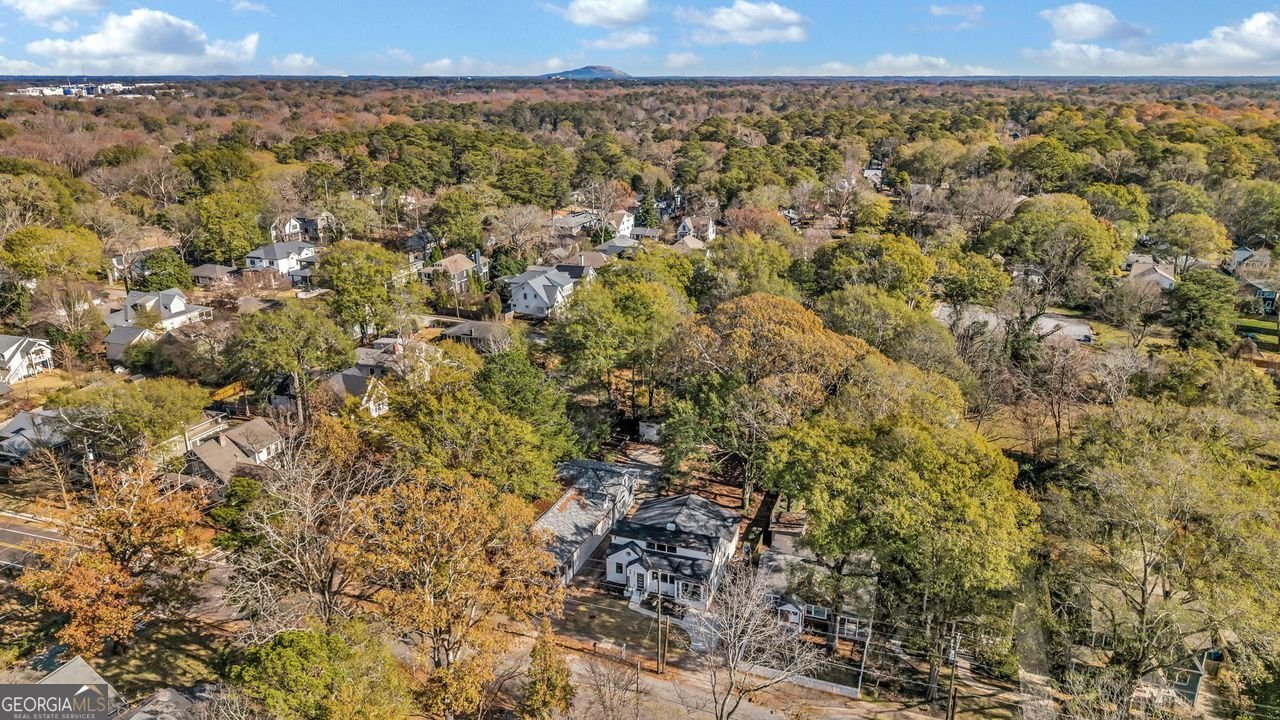 85 Lake Drive Atlanta - 45