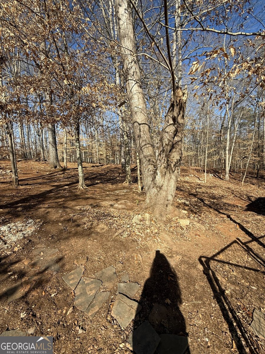 1528 Willow Gate Way Auburn - 26