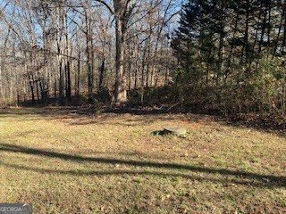 5531 Highway 52 Gillsville - 22