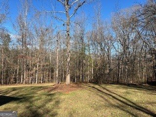 5531 Highway 52 Gillsville - 23