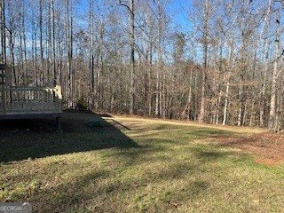 5531 Highway 52 Gillsville - 24