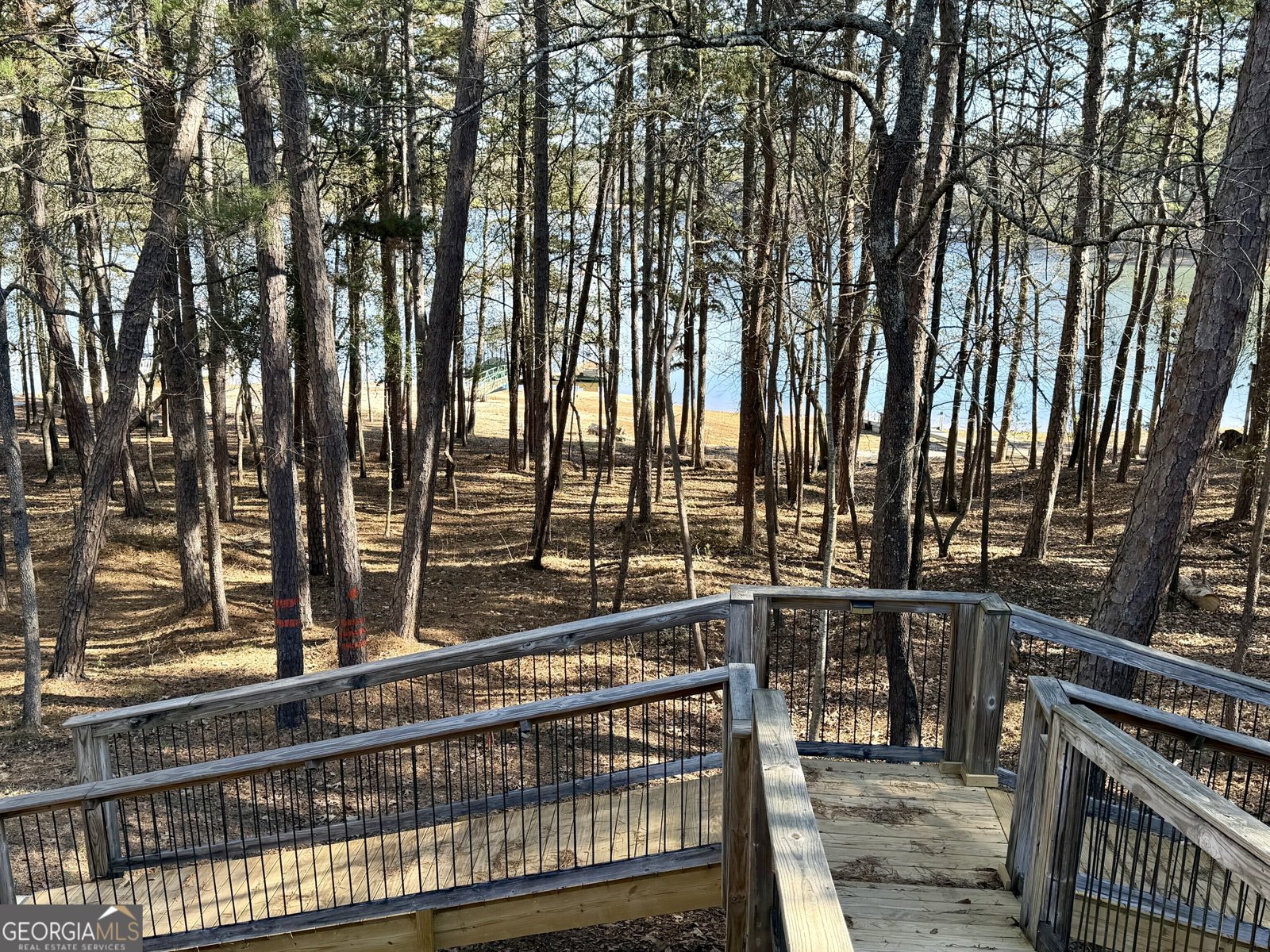 287 Spring Branch Circle Toccoa - 3