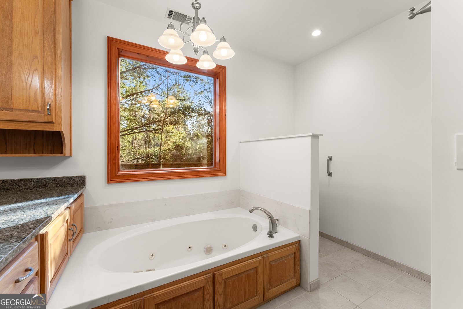 287 Spring Branch Circle Toccoa - 34