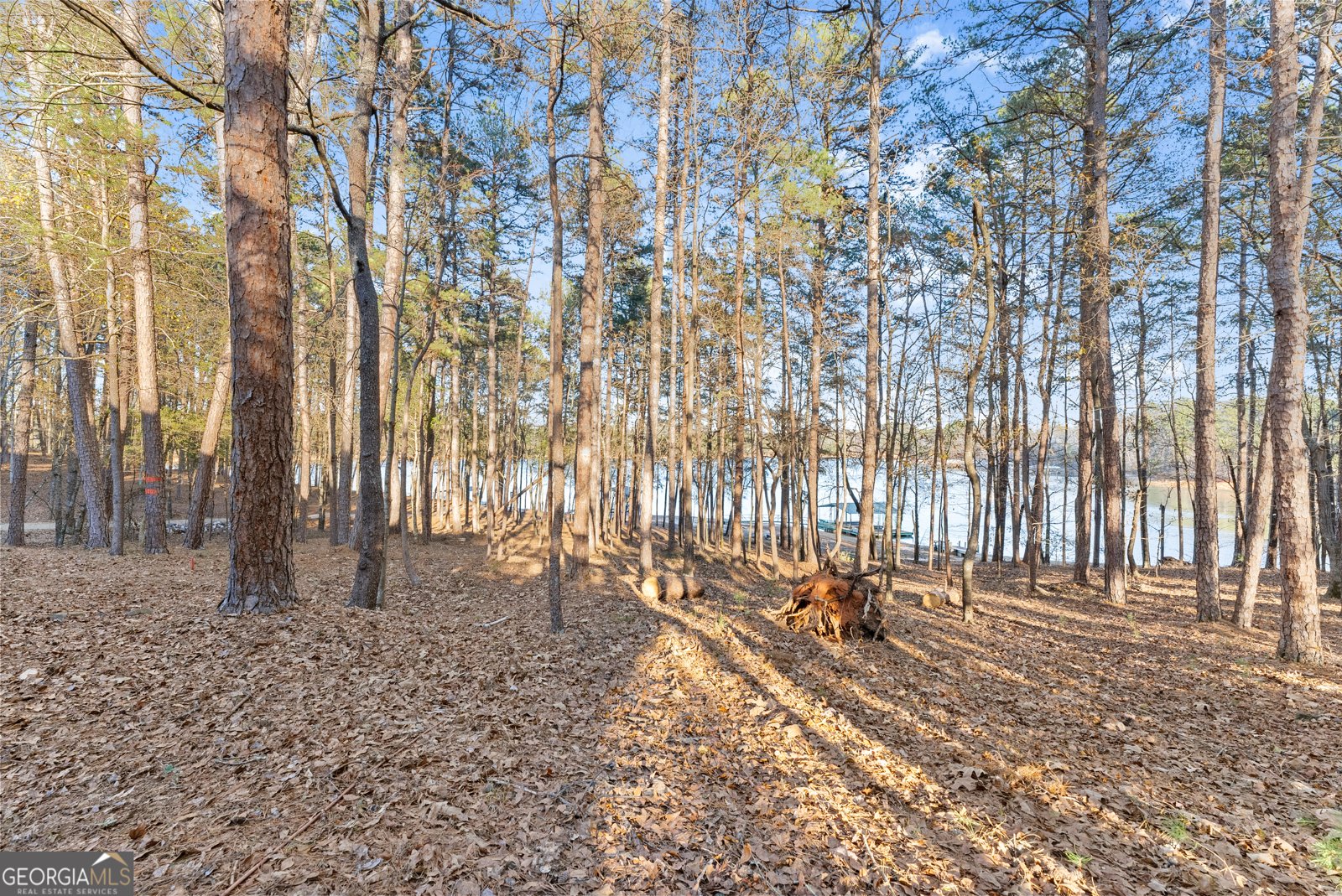 287 Spring Branch Circle Toccoa - 47