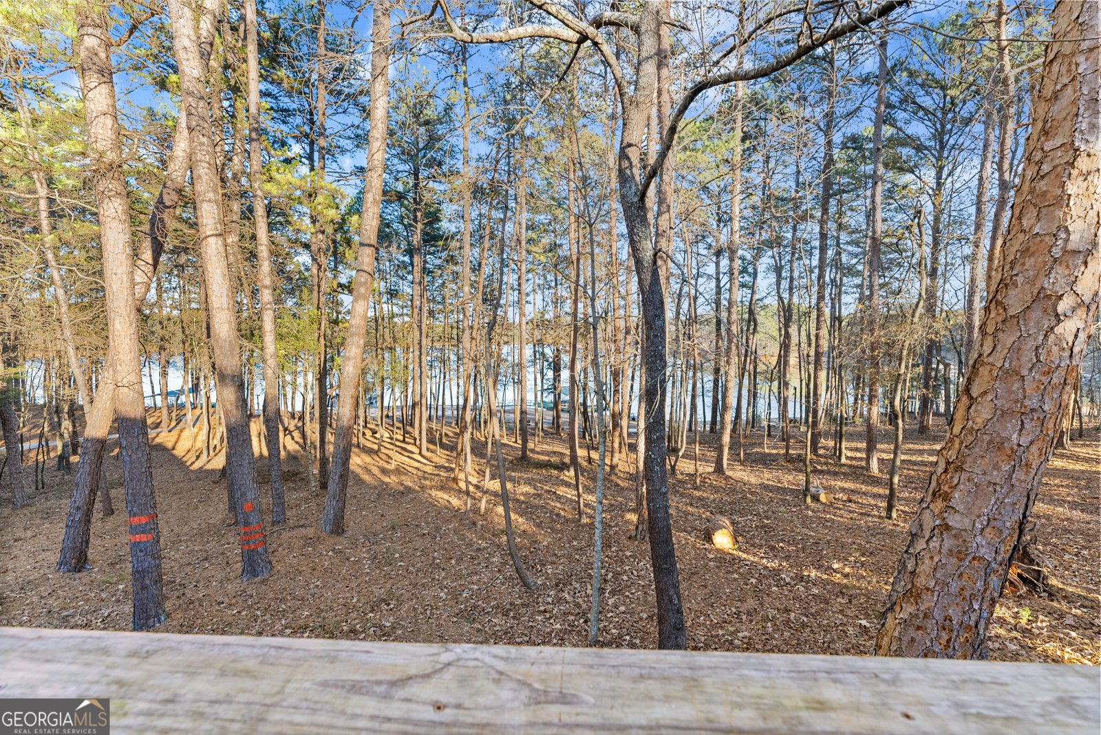 287 Spring Branch Circle Toccoa - 48