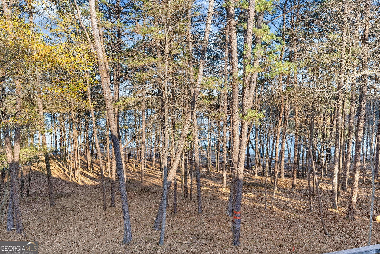 287 Spring Branch Circle Toccoa - 51