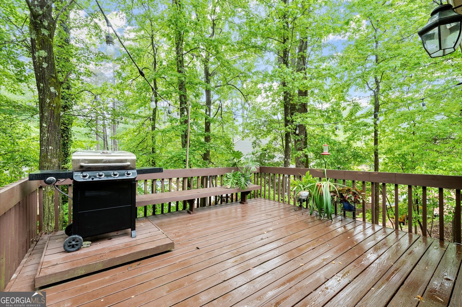 3087 Holly Mill Run Marietta - 29