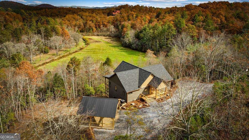 100 Walnut Trace Mineral Bluff - main photo