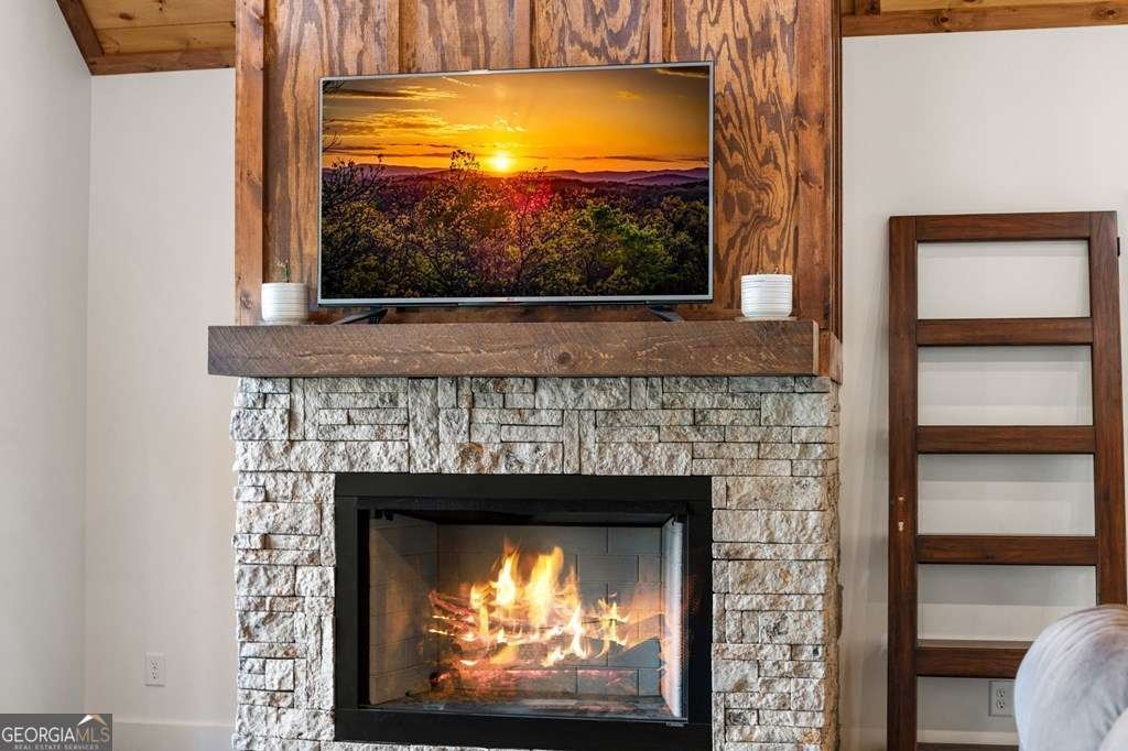 100 Walnut Trace Mineral Bluff - 2