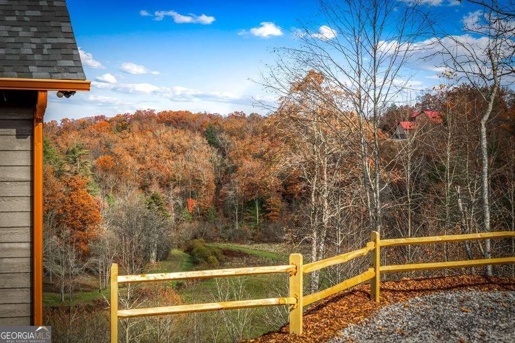 100 Walnut Trace Mineral Bluff - 54