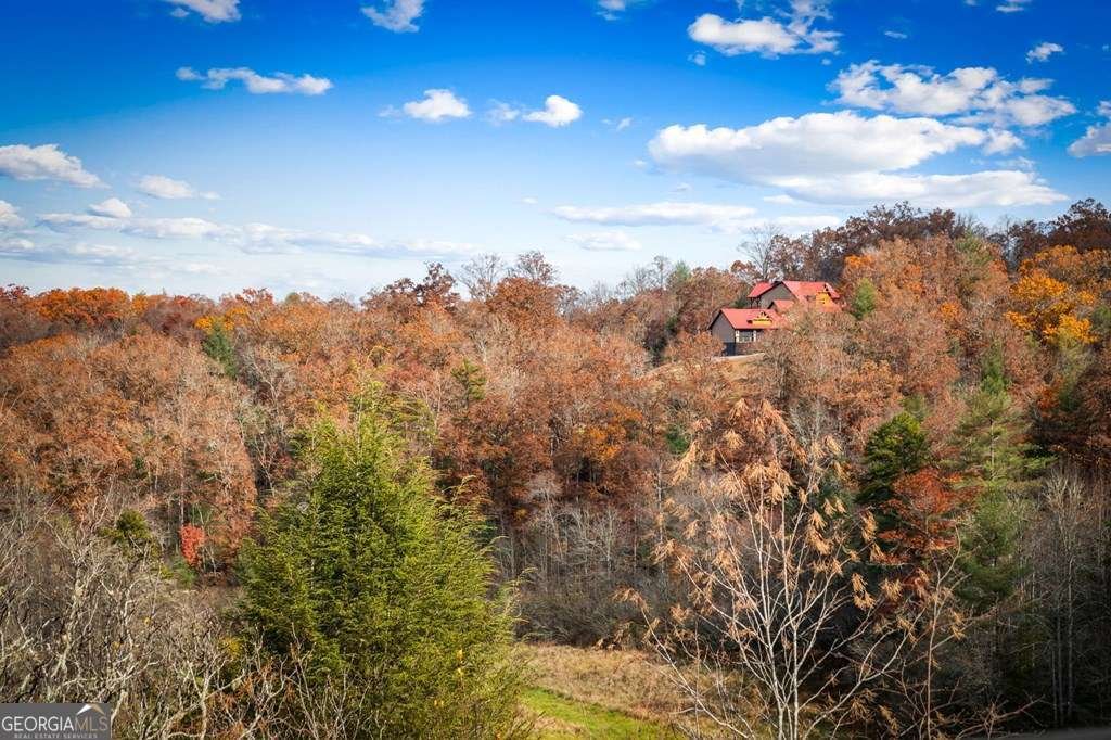 100 Walnut Trace Mineral Bluff - 55