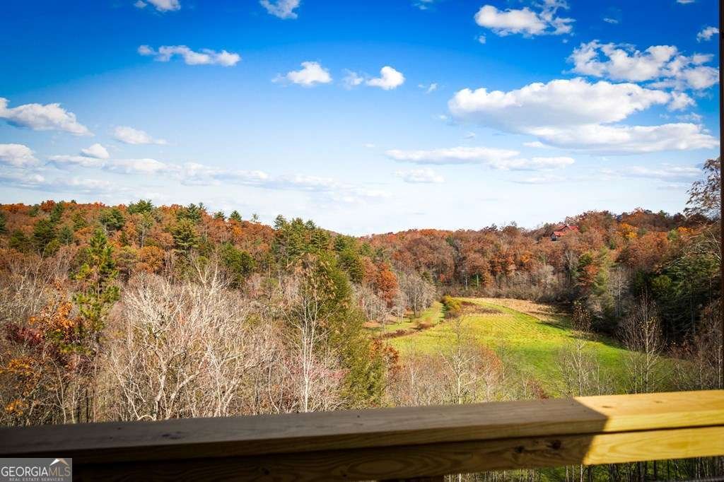 100 Walnut Trace Mineral Bluff - 56