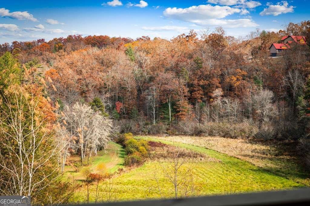 100 Walnut Trace Mineral Bluff - 57