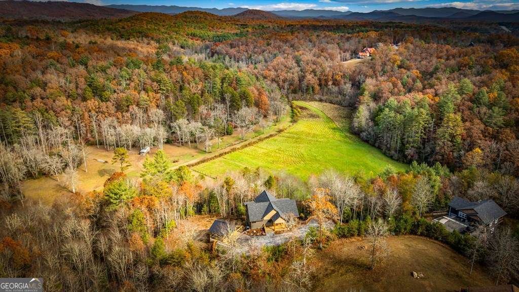 100 Walnut Trace Mineral Bluff - 69