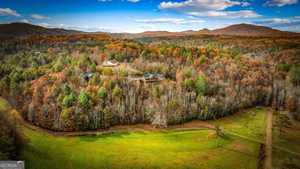 100 Walnut Trace Mineral Bluff - 70