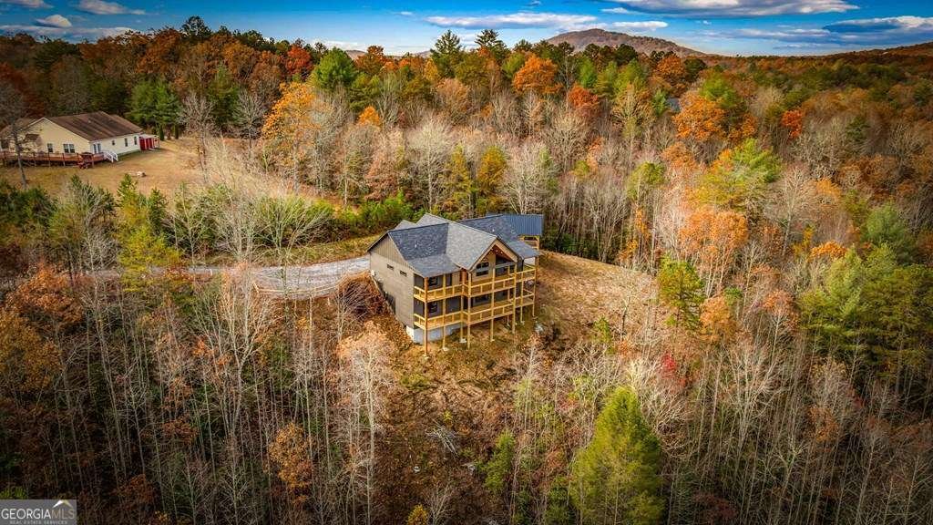 100 Walnut Trace Mineral Bluff - 71