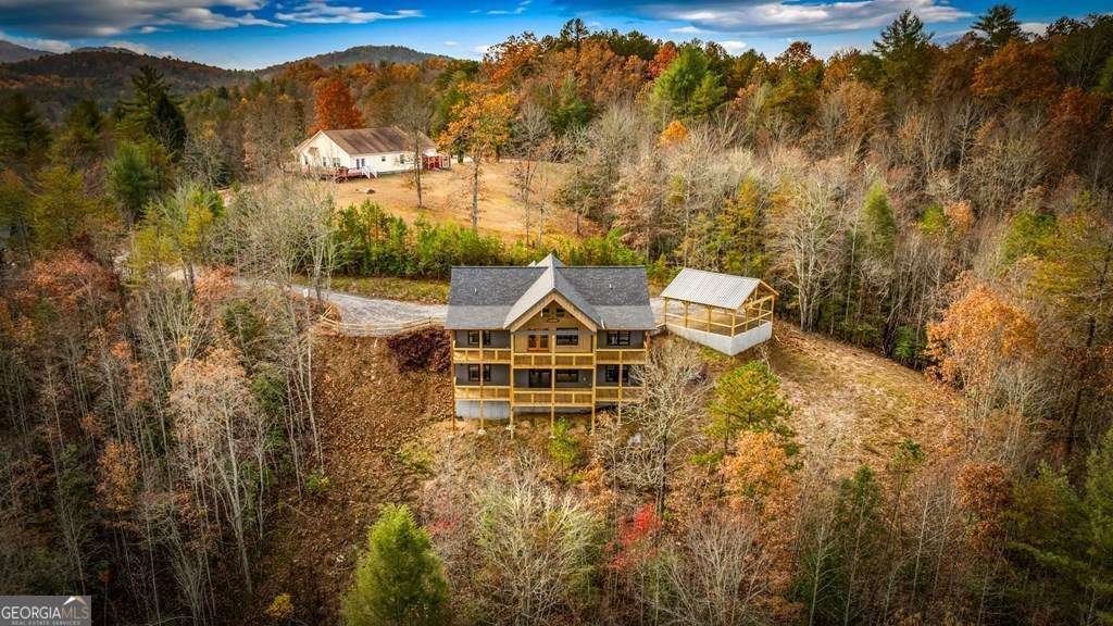 100 Walnut Trace Mineral Bluff - 72