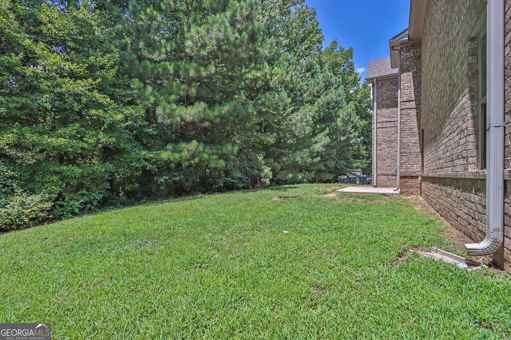 410 Live Oak Pass Loganville - 37