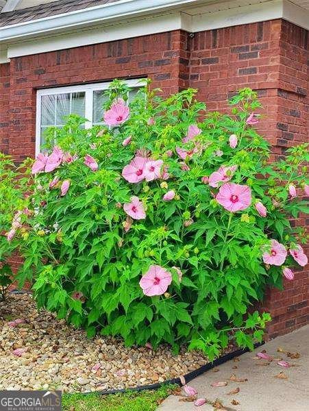 8513 Spivey Village Trail Jonesboro - 22