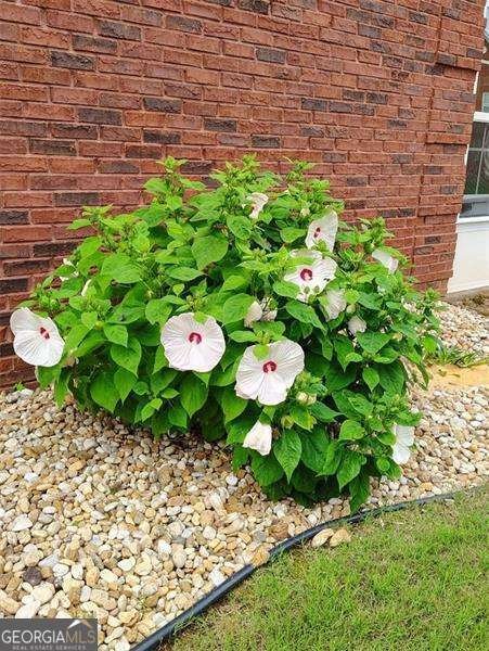 8513 Spivey Village Trail Jonesboro - 25