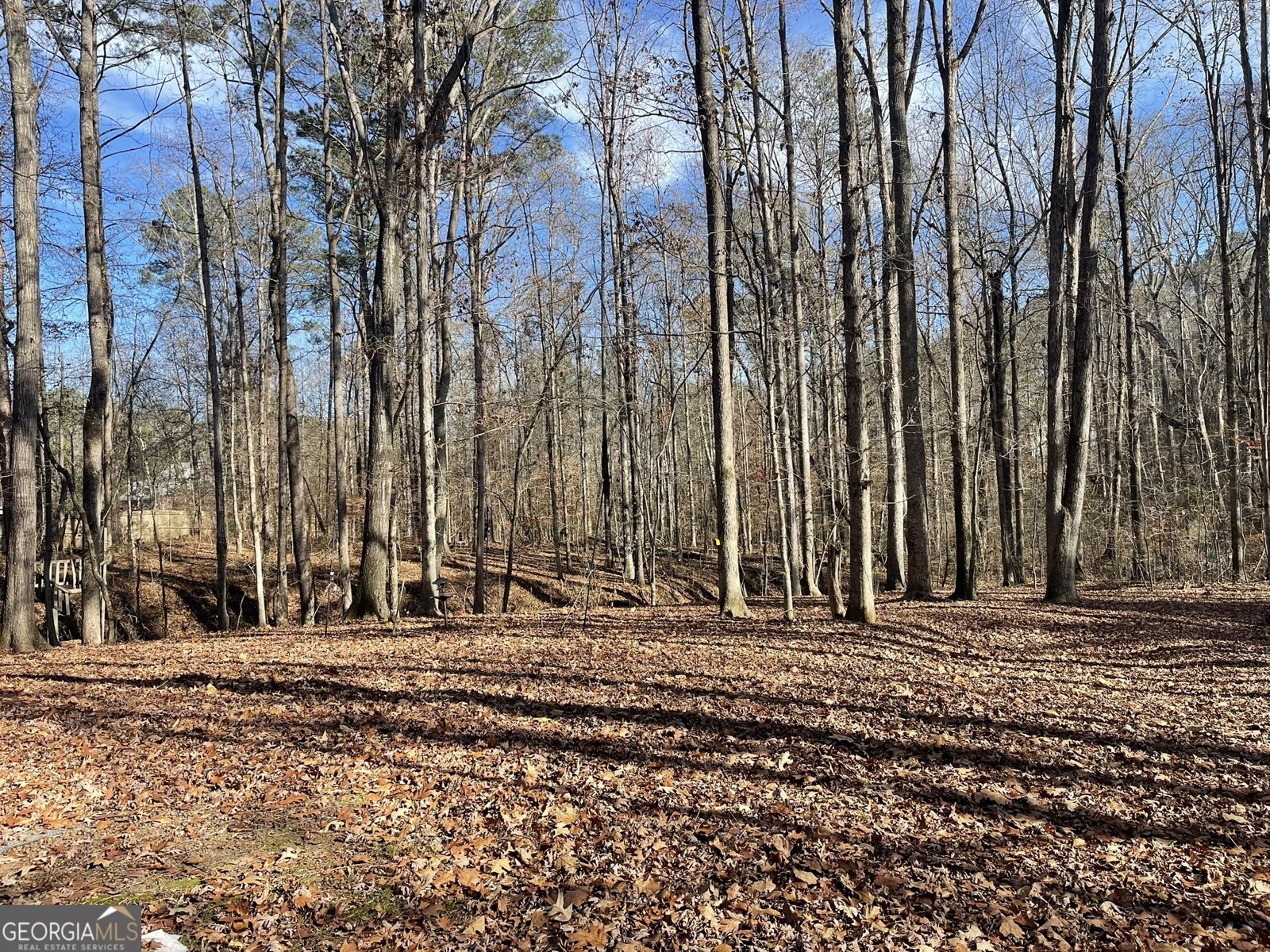 210 Lang Drive Fayetteville - 26