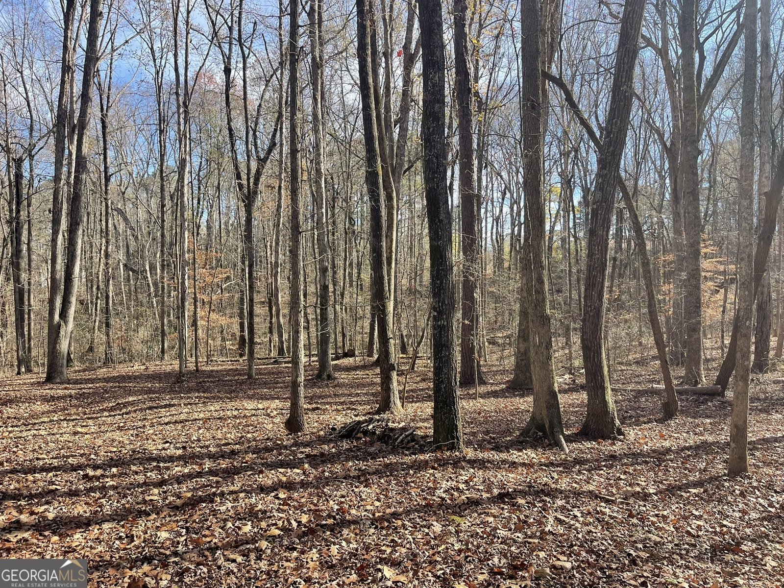 210 Lang Drive Fayetteville - 27