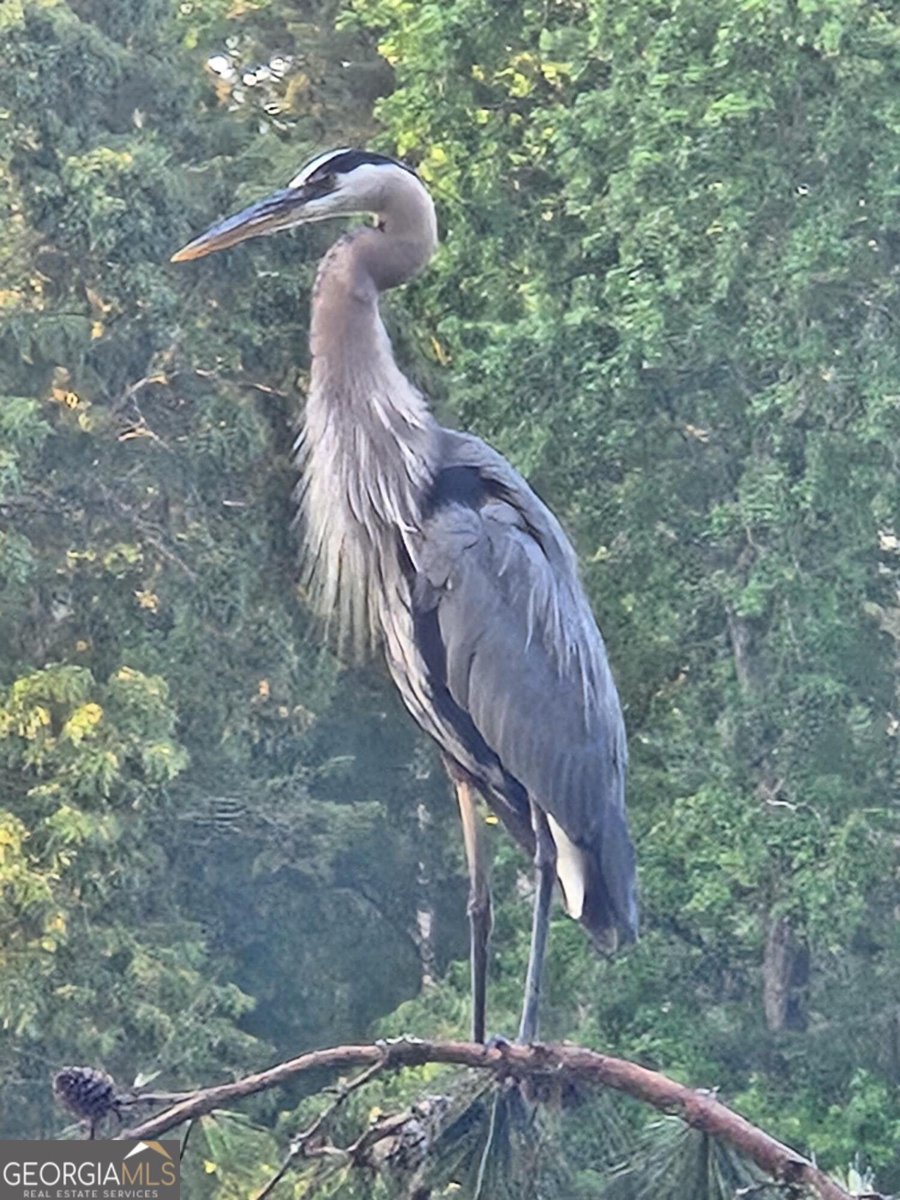 3102 Walt Stephens Road Jonesboro - 36