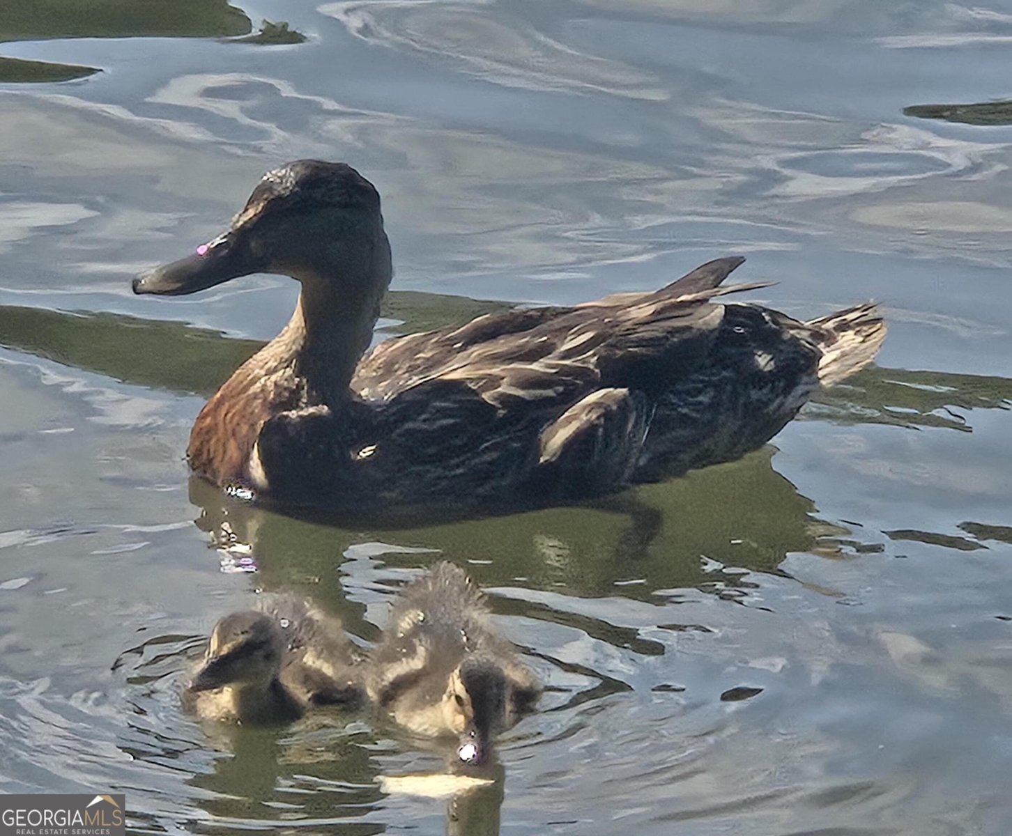 3102 Walt Stephens Road Jonesboro - 38